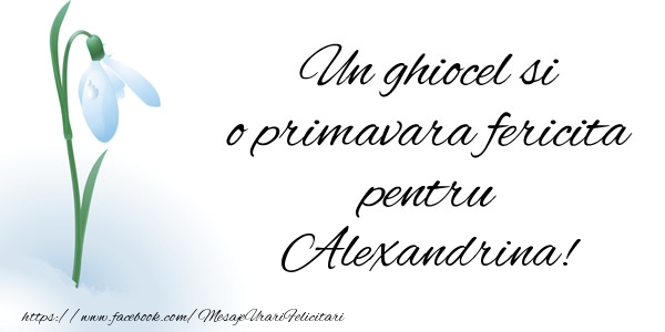 Felicitari de 1 Martie - Ghiocei | Un ghiocel si o primavara fericita pentru Alexandrina!