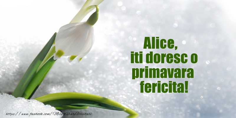 Felicitari de 1 Martie - ❄️❄️ Ghiocei & Zăpadă | Alice, iti doresc o primavara fericita!