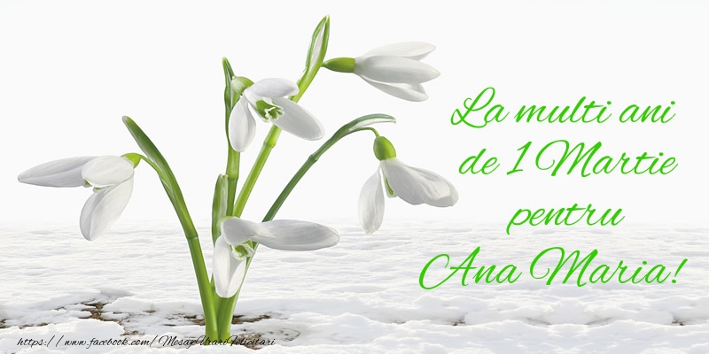 Felicitari de 1 Martie - Ghiocei | La multi ani de 1 Martie pentru Ana Maria!