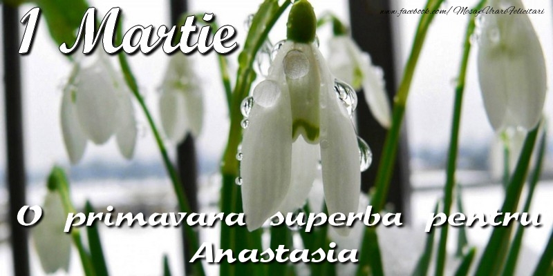 Felicitari de 1 Martie - Ghiocei | O primavara superba pentru Anastasia