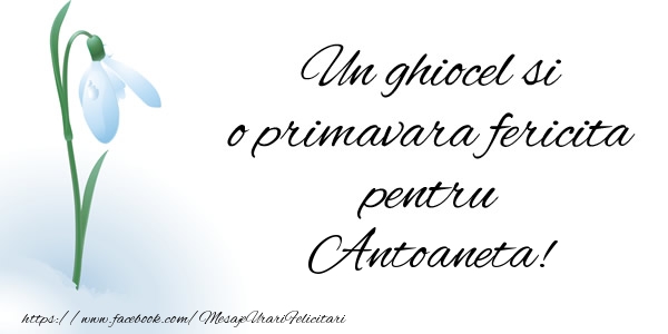 Felicitari de 1 Martie - Ghiocei | Un ghiocel si o primavara fericita pentru Antoaneta!