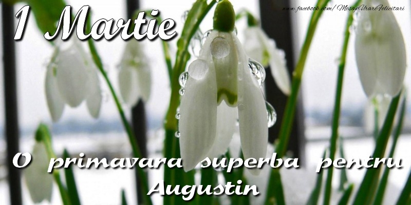 Felicitari de 1 Martie - Ghiocei | O primavara superba pentru Augustin