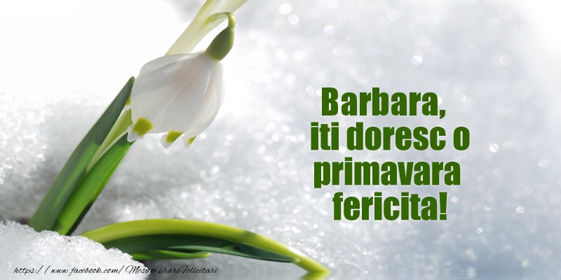 Felicitari de 1 Martie - ❄️❄️ Ghiocei & Zăpadă | Barbara, iti doresc o primavara fericita!