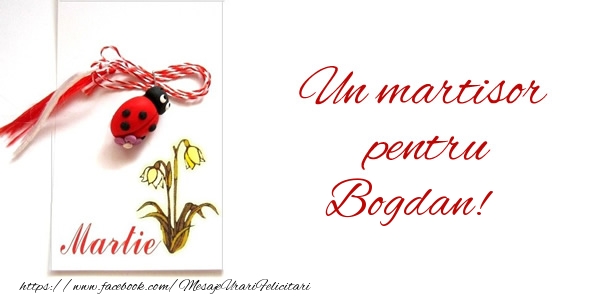 Felicitari de 1 Martie -  Un martisor pentru Bogdan!