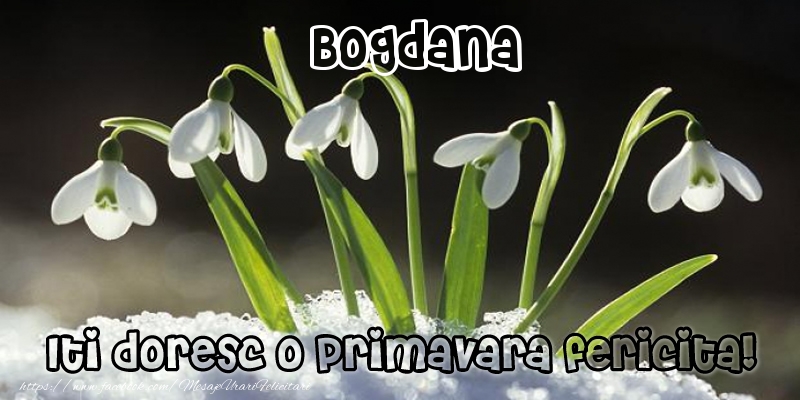 Felicitari de 1 Martie - Ghiocei | Bogdana Iti doresc o primavara fericita!