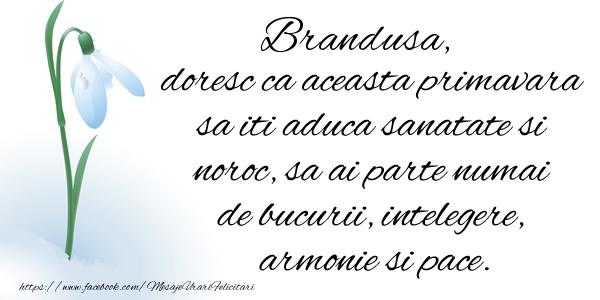 Felicitari de 1 Martie - Brandusa doresc ca aceasta primavara sa iti aduca sanatate si noroc ...