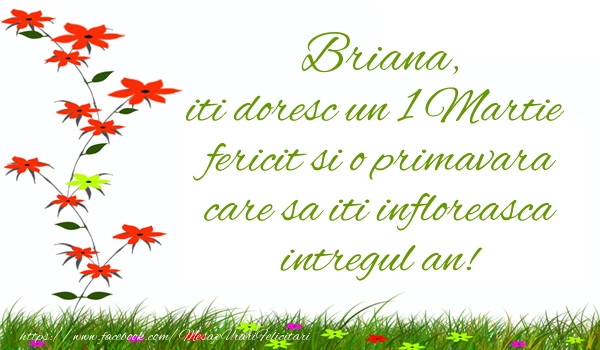 Felicitari de 1 Martie - Briana iti doresc un 1 Martie  fericit si o primavara care sa iti infloreasca intregul an!