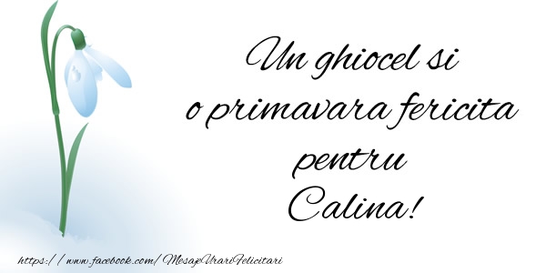 Felicitari de 1 Martie - Ghiocei | Un ghiocel si o primavara fericita pentru Calina!