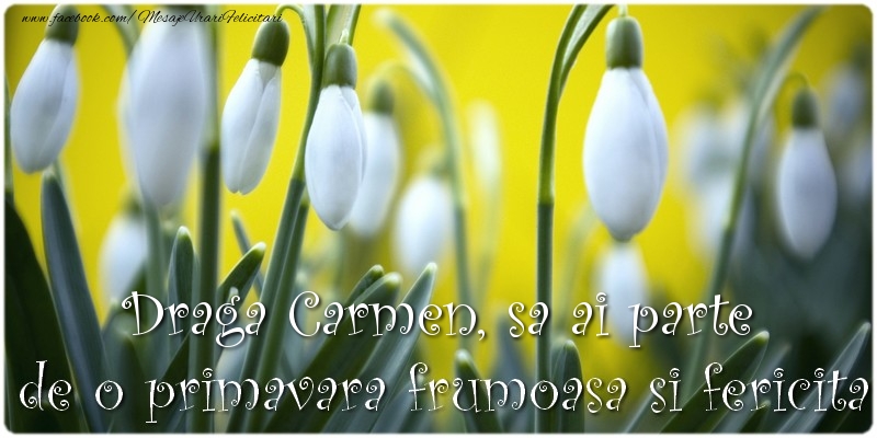 Felicitari de 1 Martie - Draga Carmen, sa ai parte de o primavara frumoasa si fericita