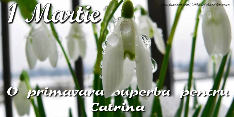 Felicitari de 1 Martie - Ghiocei | O primavara superba pentru Catrina