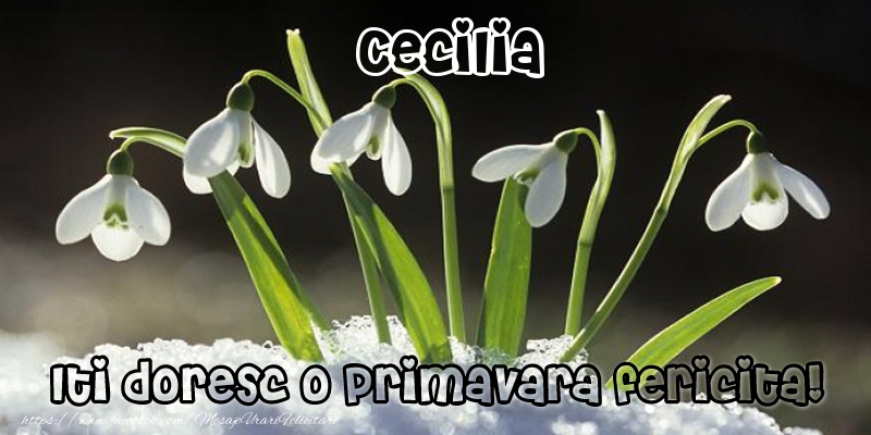 Felicitari de 1 Martie - Ghiocei | Cecilia Iti doresc o primavara fericita!