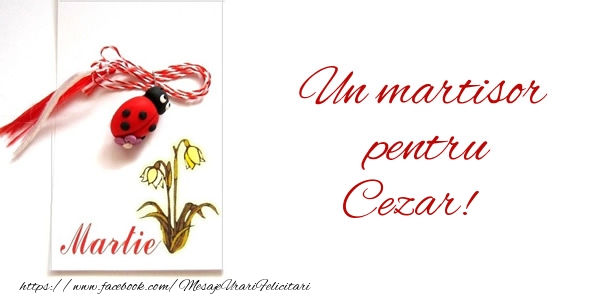 Felicitari de 1 Martie -  Un martisor pentru Cezar!