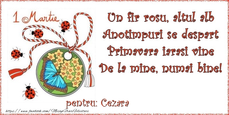 Felicitari de 1 Martie - Buburuză & Flori & Fluturi & Martisor | Un fir rosu, altul alb ... Pentru Cezara!