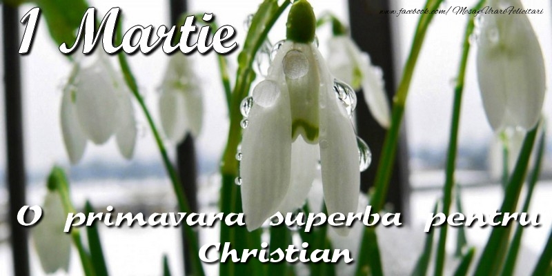 Felicitari de 1 Martie - Ghiocei | O primavara superba pentru Christian