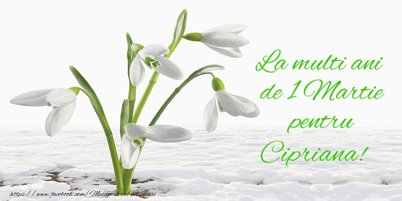 Felicitari de 1 Martie - Ghiocei | La multi ani de 1 Martie pentru Cipriana!