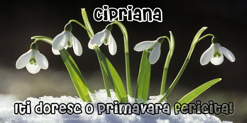 Felicitari de 1 Martie - Ghiocei | Cipriana Iti doresc o primavara fericita!