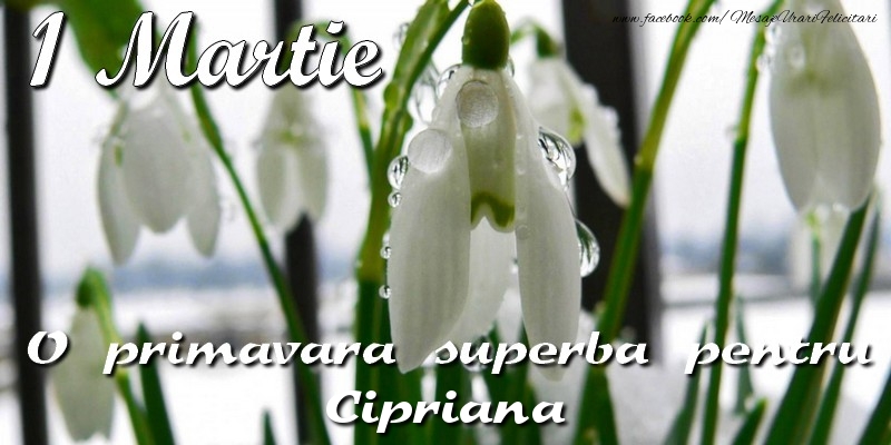 Felicitari de 1 Martie - Ghiocei | O primavara superba pentru Cipriana