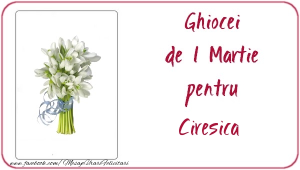 Felicitari de 1 Martie -  Ghiocei de 1 Martie pentru Ciresica