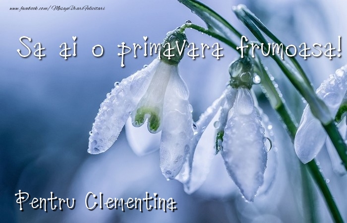 Felicitari de 1 Martie - Va doresc o primavara minunata Clementina