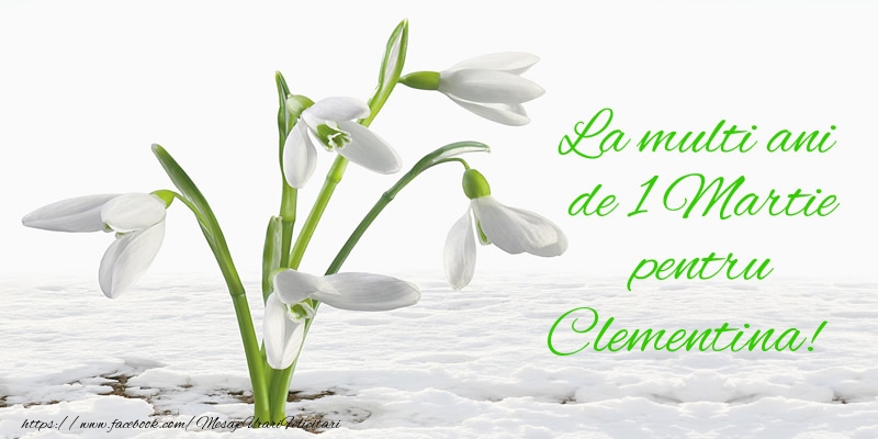 Felicitari de 1 Martie - Ghiocei | La multi ani de 1 Martie pentru Clementina!