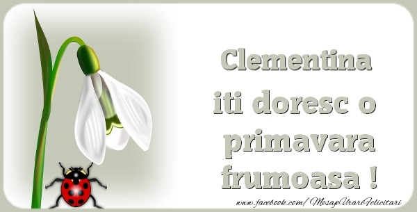Felicitari de 1 Martie - Clementina iti doresc o primavara frumoasa