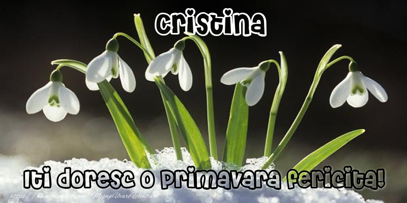 Felicitari de 1 Martie - Cristina Iti doresc o primavara fericita!