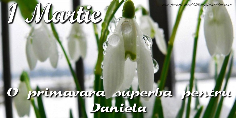 Felicitari de 1 Martie - Ghiocei | O primavara superba pentru Daniela