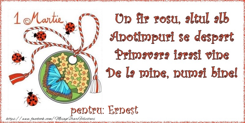 Felicitari de 1 Martie - Buburuză & Flori & Fluturi & Martisor | Un fir rosu, altul alb ... Pentru Ernest!