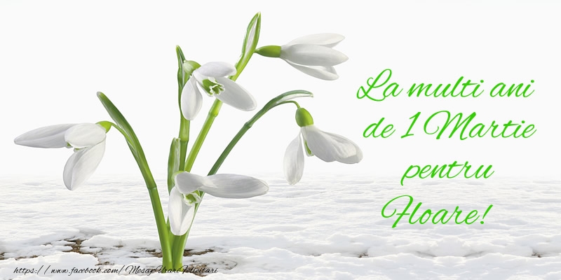 Felicitari de 1 Martie - Ghiocei | La multi ani de 1 Martie pentru Floare!