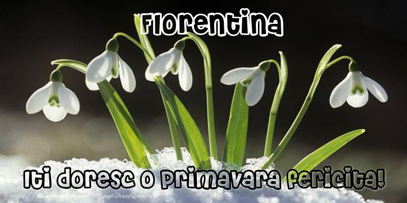 Felicitari de 1 Martie - Florentina Iti doresc o primavara fericita!