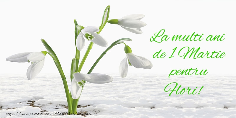 Felicitari de 1 Martie - Ghiocei | La multi ani de 1 Martie pentru Flori!