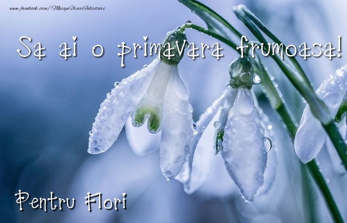Felicitari de 1 Martie - Ghiocei | Va doresc o primavara minunata Flori
