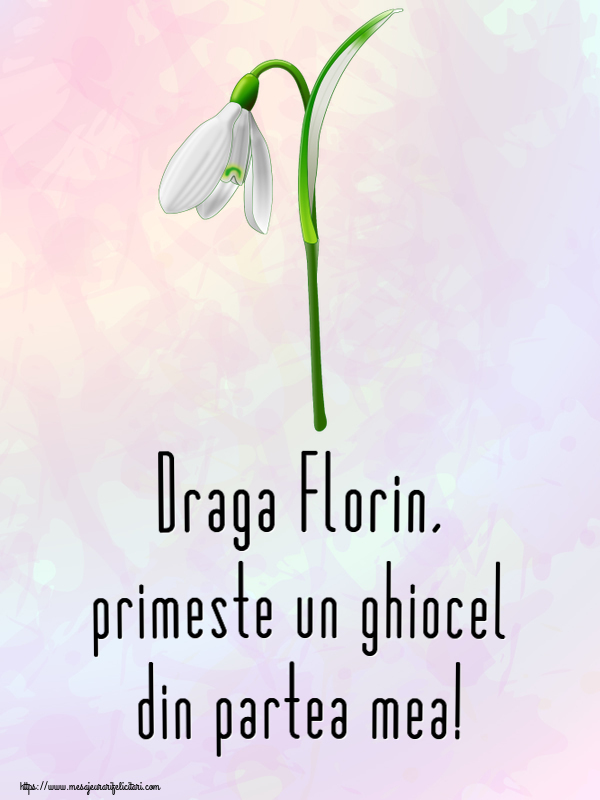 Felicitari de 1 Martie - Ghiocei | Draga Florin, primeste un ghiocel din partea mea!