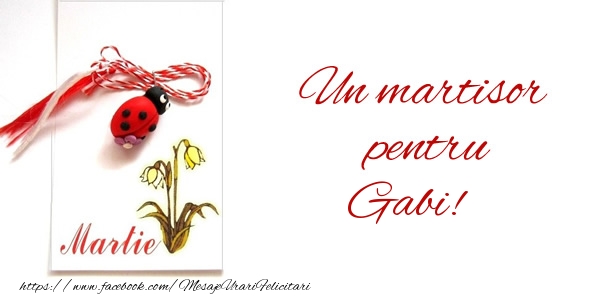 felicitari de 1 martie gabi Un martisor pentru Gabi!