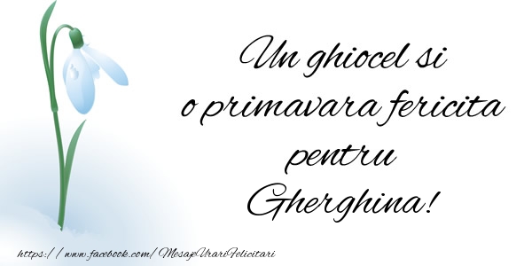 Felicitari de 1 Martie - Un ghiocel si o primavara fericita pentru Gherghina!