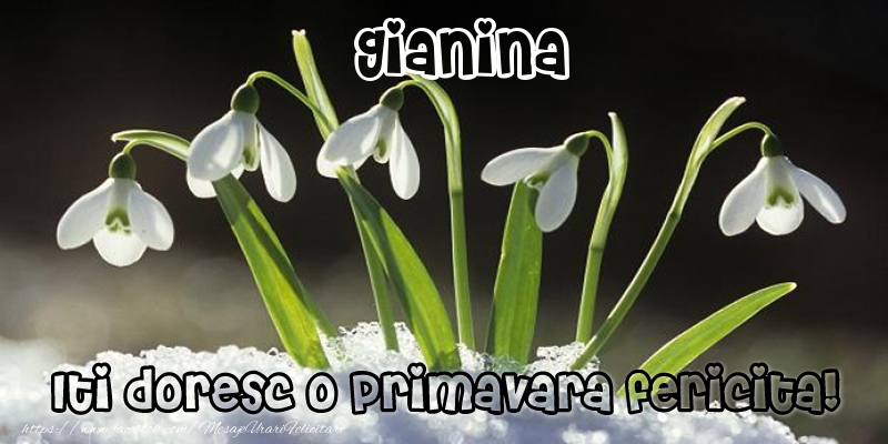 Felicitari de 1 Martie - Ghiocei | Gianina Iti doresc o primavara fericita!