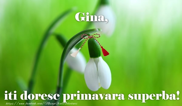 Felicitari de 1 Martie - Ghiocei | Gina iti doresc primavara superba!