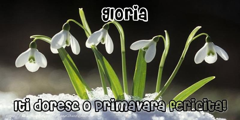 Felicitari de 1 Martie - Ghiocei | Gloria Iti doresc o primavara fericita!