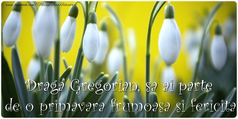 Felicitari de 1 Martie - Draga Gregorian, sa ai parte de o primavara frumoasa si fericita