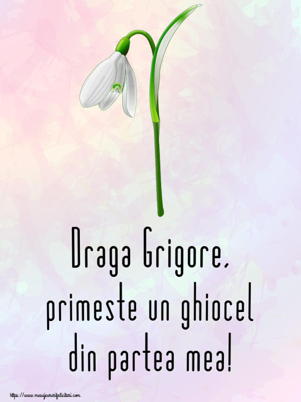 Felicitari de 1 Martie - Ghiocei | Draga Grigore, primeste un ghiocel din partea mea!