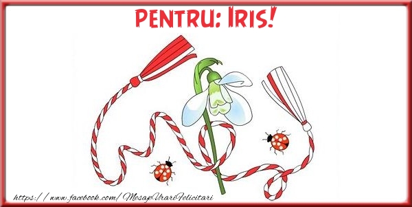 Felicitari de 1 Martie - Pentru Iris!