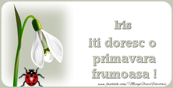Felicitari de 1 Martie - Ghiocei | Iris iti doresc o primavara frumoasa