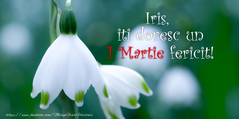 Felicitari de 1 Martie - Ghiocei | Iris iti doresc un 1 Martie fericit!