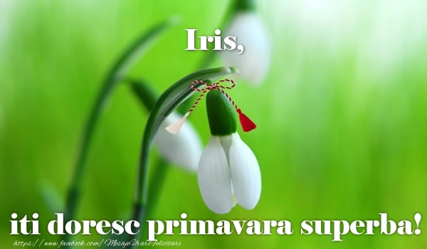 Felicitari de 1 Martie - Iris iti doresc primavara superba!