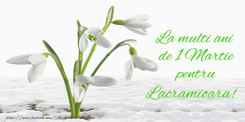 Felicitari de 1 Martie - Ghiocei | La multi ani de 1 Martie pentru Lacramioara!