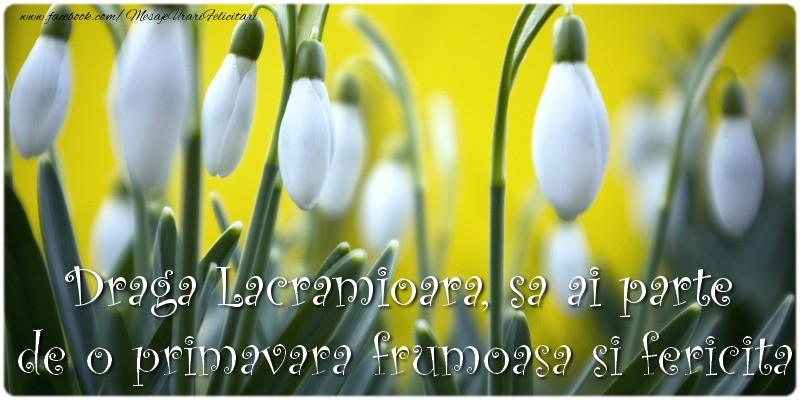Felicitari de 1 Martie - Ghiocei | Draga Lacramioara, sa ai parte de o primavara frumoasa si fericita