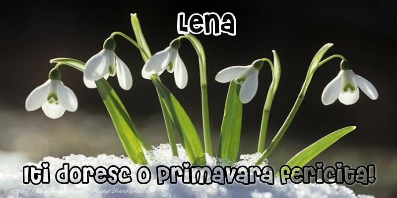 Felicitari de 1 Martie - Ghiocei | Lena Iti doresc o primavara fericita!
