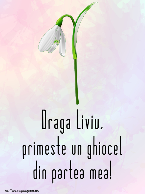 Felicitari de 1 Martie - Ghiocei | Draga Liviu, primeste un ghiocel din partea mea!
