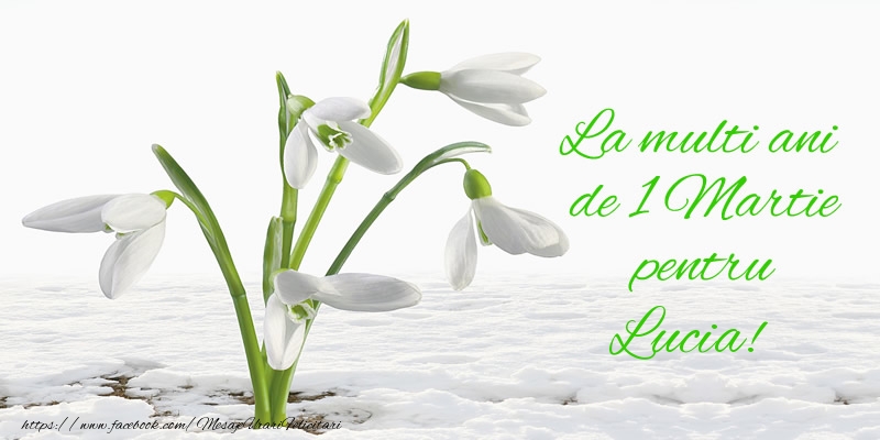 Felicitari de 1 Martie - La multi ani de 1 Martie pentru Lucia!
