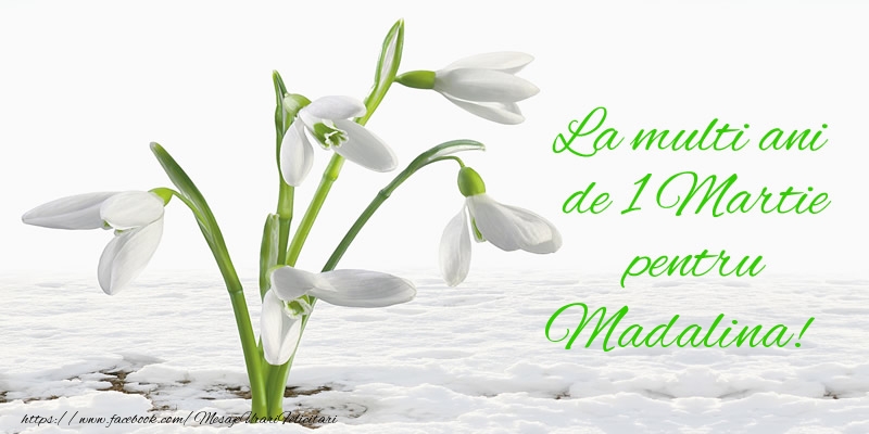 Felicitari de 1 Martie - Ghiocei | La multi ani de 1 Martie pentru Madalina!